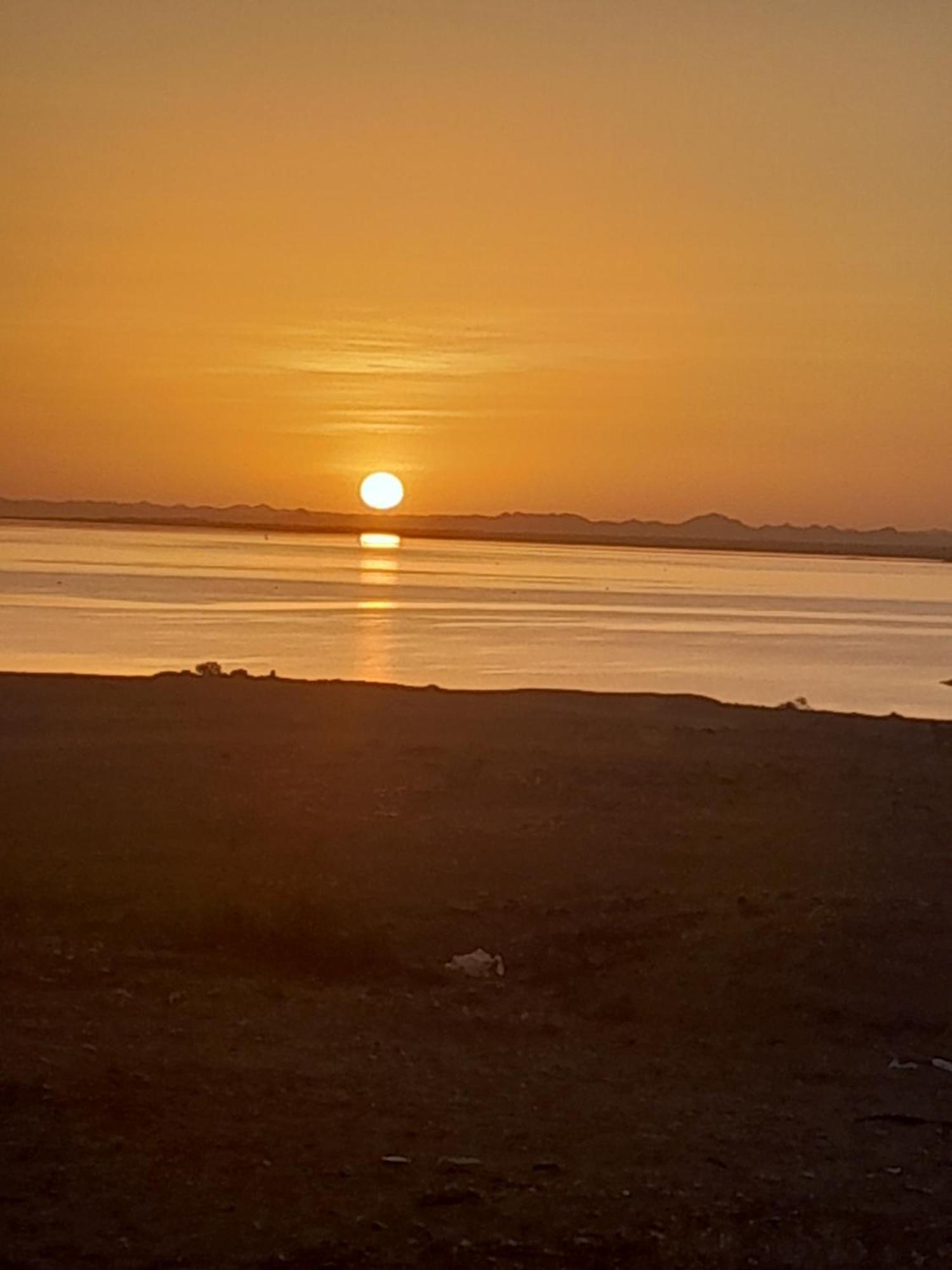 Osiris Guest House Abu Simbel Zewnętrze zdjęcie